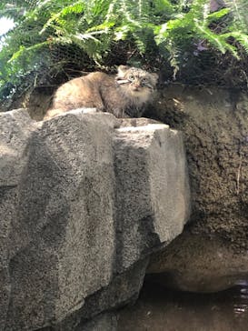 神戸どうぶつ王国に投稿された画像（2020/10/12）