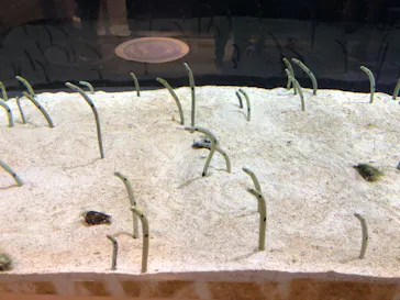 すみだ水族館に投稿された画像（2020/10/12）