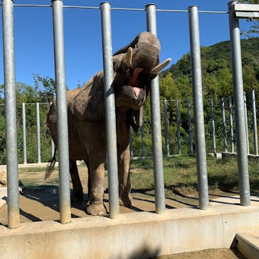 しろとり動物園に投稿された画像（2020/10/12）