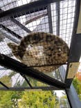 旭川市旭山動物園に投稿された画像（2020/10/12）