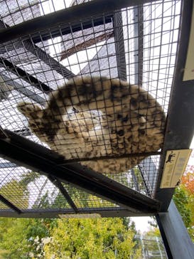 旭川市旭山動物園に投稿された画像（2020/10/12）