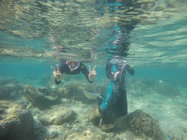 武藤潜水に投稿された画像（2020/10/13）