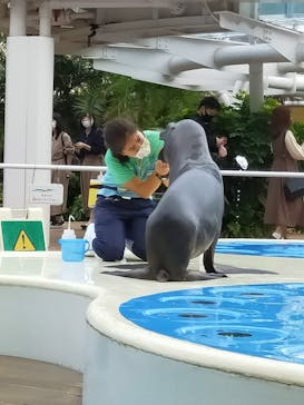 サンシャイン水族館に投稿された画像（2020/10/13）