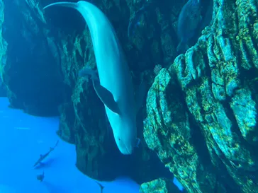 仙台うみの杜水族館に投稿された画像（2020/10/13）