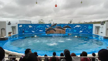 仙台うみの杜水族館に投稿された画像（2020/10/13）