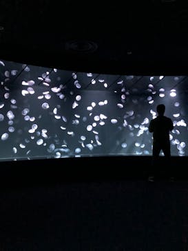 サンシャイン水族館に投稿された画像（2020/10/13）