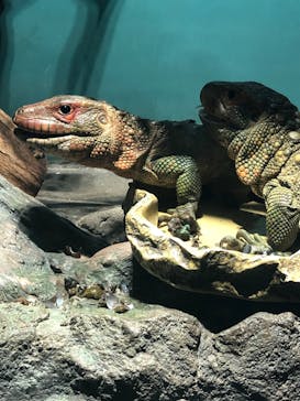 サンシャイン水族館に投稿された画像（2020/10/13）