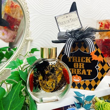 ずこうしつ〜sugamo〜に投稿された画像（2020/10/13）