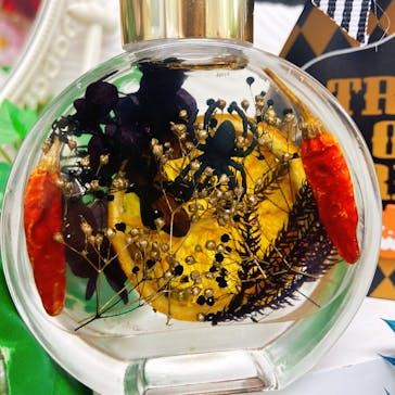 ずこうしつ〜sugamo〜に投稿された画像（2020/10/13）