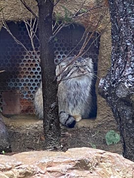 那須どうぶつ王国に投稿された画像（2020/10/13）