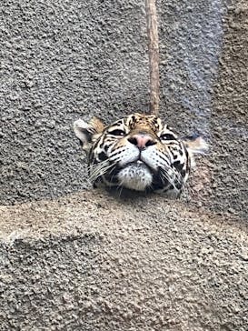 那須どうぶつ王国に投稿された画像（2020/10/13）