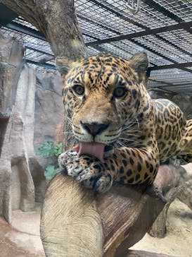 那須どうぶつ王国に投稿された画像（2020/10/13）