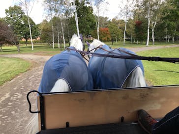 ノーザンホースパークに投稿された画像（2020/10/13）