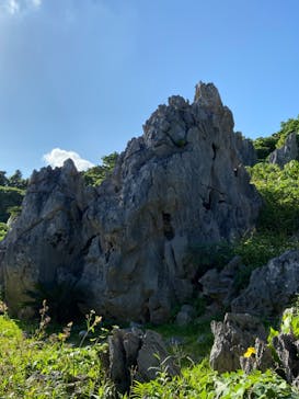 アスムイハイクスに投稿された画像（2020/10/13）