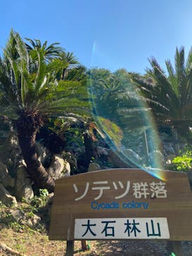 アスムイハイクスに投稿された画像（2020/10/13）