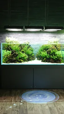 すみだ水族館に投稿された画像（2020/10/13）