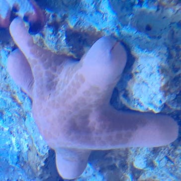 サンシャイン水族館に投稿された画像（2020/10/13）