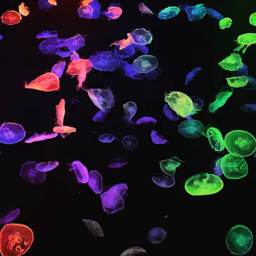 すみだ水族館に投稿された画像（2020/10/14）