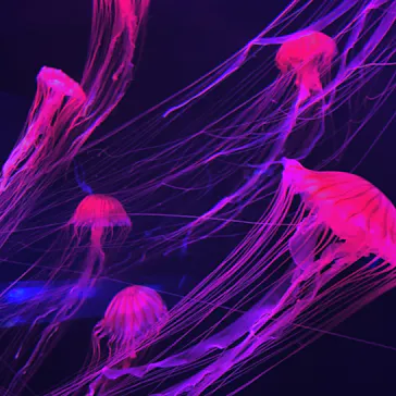 すみだ水族館に投稿された画像（2020/10/14）