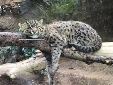 神戸どうぶつ王国に投稿された画像（2020/10/14）