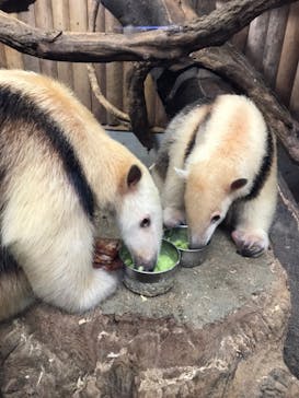 神戸どうぶつ王国に投稿された画像（2020/10/14）