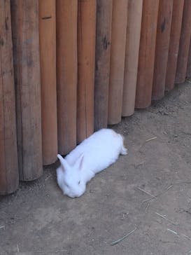 神戸どうぶつ王国に投稿された画像（2020/10/14）