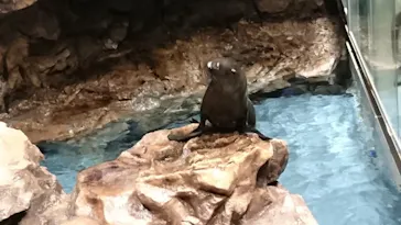 すみだ水族館に投稿された画像（2020/10/14）
