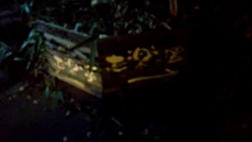 アソビュー株式会社　149986	に投稿された画像（2020/10/14）