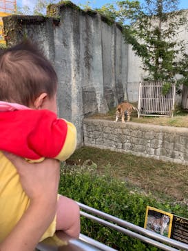 天王寺動物園に投稿された画像（2020/10/14）
