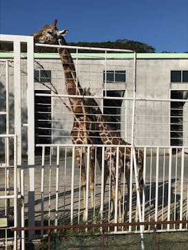 九十九島動植物園森きららに投稿された画像（2020/10/14）