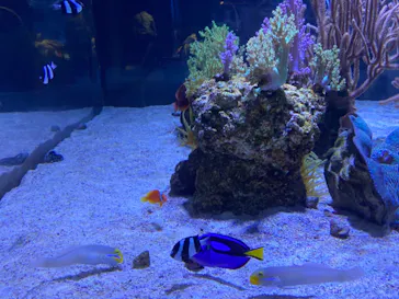 すみだ水族館に投稿された画像（2020/10/14）