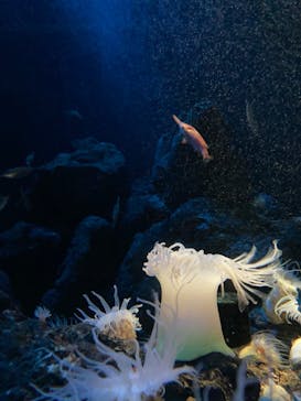 株式会社Gに投稿された画像（2020/10/14）