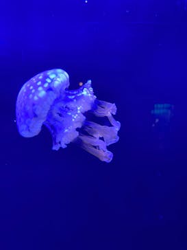 株式会社Gに投稿された画像（2020/10/14）