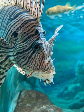 株式会社Gに投稿された画像（2020/10/14）