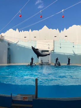 株式会社Gに投稿された画像（2020/10/14）