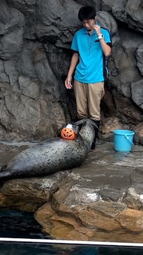 しながわ水族館に投稿された画像（2020/10/14）