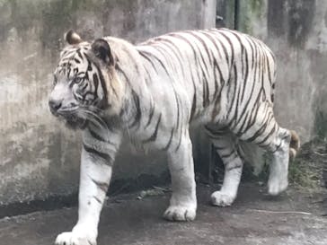 伊豆アニマルキングダムに投稿された画像（2020/10/14）