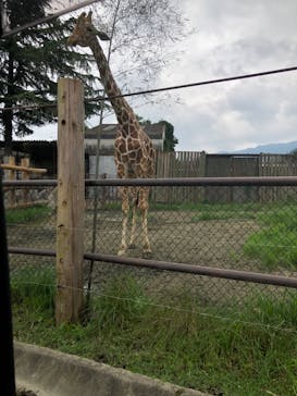 群馬サファリパークに投稿された画像（2020/10/15）