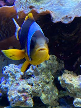 サンシャイン水族館に投稿された画像（2020/10/15）