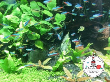 サンシャイン水族館に投稿された画像（2020/10/15）