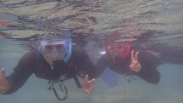 ダイビングショップ Sea Free（シーフリー）に投稿された画像（2020/10/15）