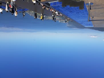 びわ湖バレイに投稿された画像（2020/10/15）