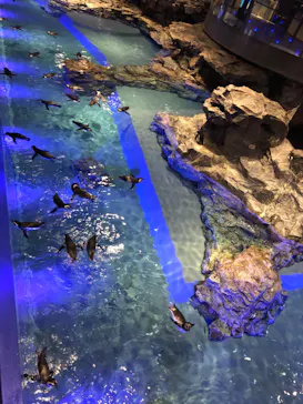 すみだ水族館に投稿された画像（2020/10/15）