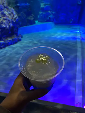 すみだ水族館に投稿された画像（2020/10/15）