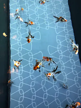 すみだ水族館に投稿された画像（2020/10/15）