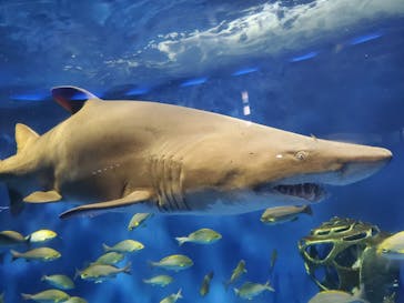 京急油壺マリンパークに投稿された画像（2020/10/15）