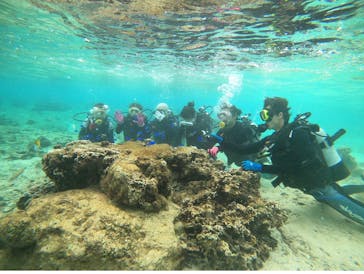 武藤潜水に投稿された画像（2020/10/16）