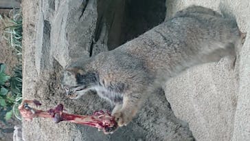 神戸どうぶつ王国に投稿された画像（2020/10/16）