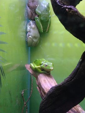 サンシャイン水族館に投稿された画像（2020/10/16）