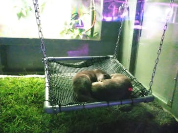 サンシャイン水族館に投稿された画像（2020/10/16）